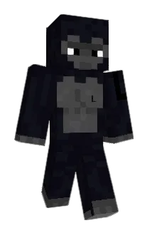 Imnotacoolperson Minecraft avatar full body