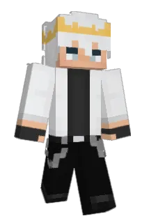 ImplodingTurtle Minecraft avatar full body