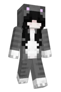 Impresso Minecraft avatar full body