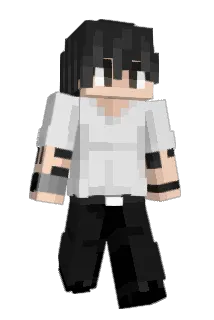 In4ris Minecraft avatar full body