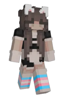 InDenial Minecraft avatar full body