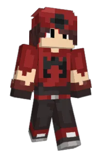 In_Design Minecraft avatar full body