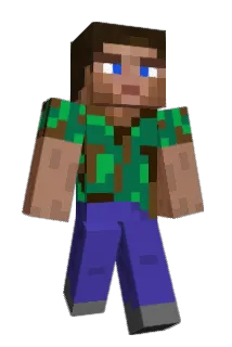 Incon24 Minecraft avatar full body