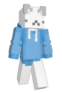 Ind12 Minecraft avatar full body