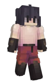 Indiscriminate Minecraft avatar full body