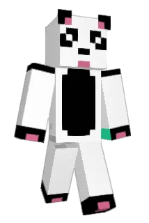 Infinityr Minecraft avatar full body