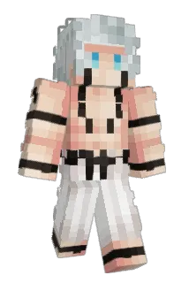 Informal_86 Minecraft avatar full body