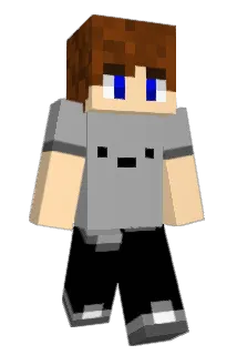 Infrip Minecraft avatar full body