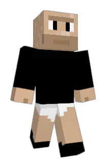 Ingo_Oberhofer Minecraft avatar full body
