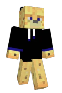 InsaneCat Minecraft avatar full body