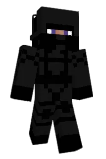 InsaneGadget Minecraft avatar full body