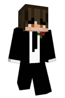 InsaniBoy Minecraft avatar full body