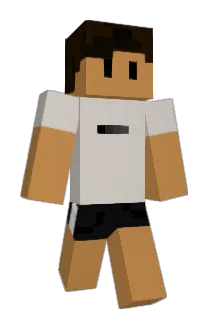 Inserer Minecraft avatar full body