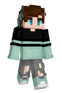 Insleight Minecraft avatar full body