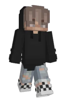 Insurers Minecraft avatar full body