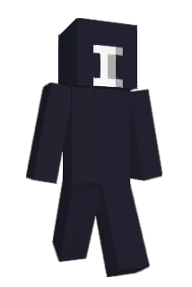 Interferometer Minecraft avatar full body