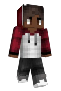 Intergrated_ Minecraft avatar full body