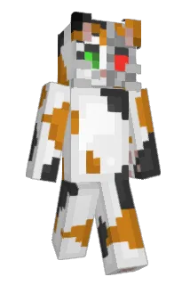 Internalblondy Minecraft avatar full body