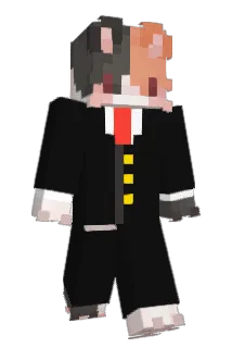 Internet_Rando Minecraft avatar full body