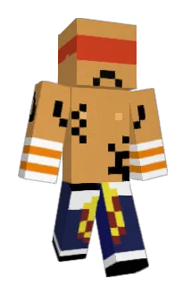 Internetzugang Minecraft avatar full body