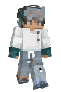 Intq Minecraft avatar full body
