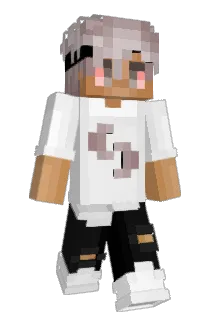 InvisToqqle Minecraft avatar full body