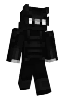 Ioniq5 Minecraft avatar full body
