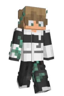 Ipsy_ Minecraft avatar full body
