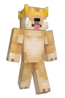 Irandomgamer Minecraft avatar full body