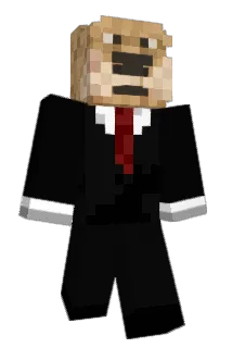 Ireneous Minecraft avatar full body