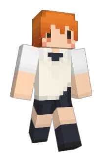 IrisGermanica Minecraft avatar full body
