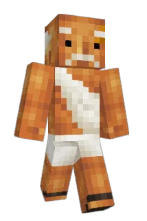 IrishBoi420 Minecraft avatar full body