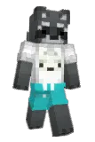 IrlRacc Minecraft avatar full body