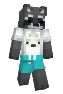 IrlRacc Minecraft avatar full body