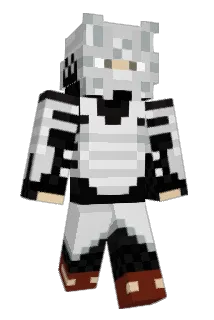 IronbotT_T Minecraft avatar full body