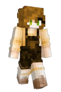 IronicBeez Minecraft avatar full body