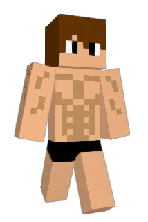 Irritable_Ewok Minecraft avatar full body