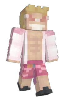 Irritants Minecraft avatar full body