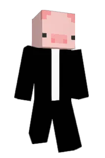 Irvinspider54 Minecraft avatar full body