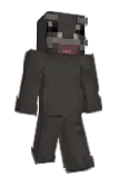 IsDarb Minecraft avatar full body