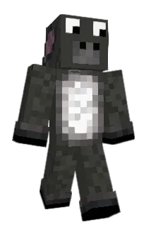 Isem Minecraft avatar full body