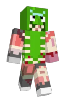 IssaPaw Minecraft avatar full body