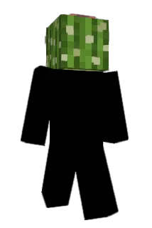 Issis0208 Minecraft avatar full body
