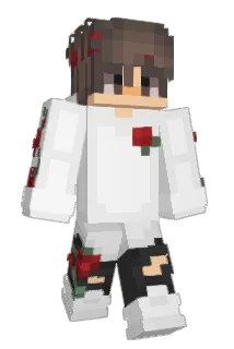 Its_Motion Minecraft avatar full body