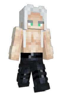 Itvflex Minecraft avatar full body
