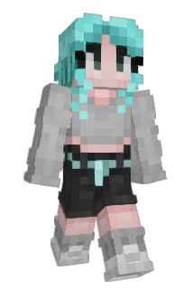 Iunic Minecraft avatar full body