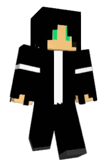 IvENInWZa Minecraft avatar full body