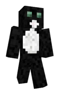 Ivardegrote3 Minecraft avatar full body