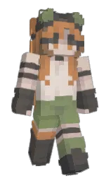 Custom render preview