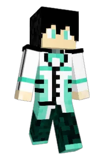 J13131 Minecraft avatar full body